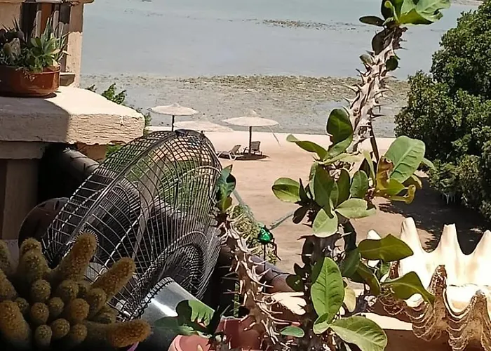 Hurhgada Concierge At Turtles *